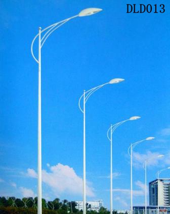 道路燈DLD013